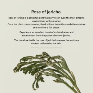 abib-collagen-gel-mask-jericho-rose-jelly-35g-pic-8
