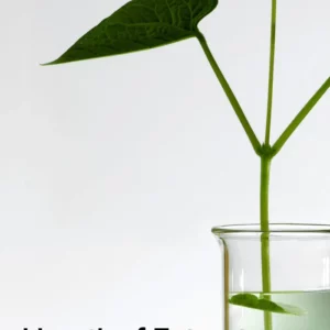 anua-heartleaf-77percent-soothing-toner-pic-6