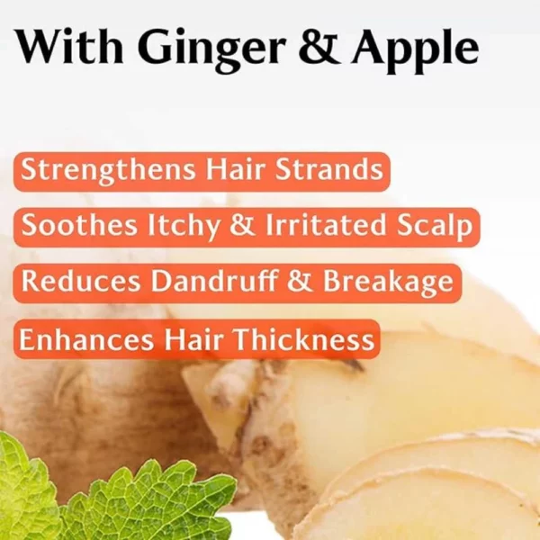 lador-root-re-boot-purifying-shampoo-ginger-and-apple-pic-5