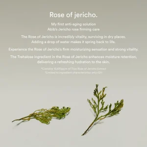 abib-jericho-rose-collagen-pad-firming-touch-60pcs-pic-9