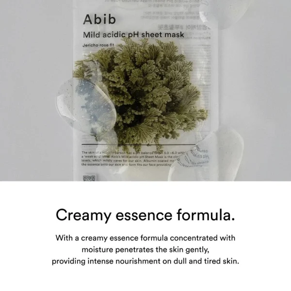 abib-mild-acidic-ph-sheet-mask-jericho-rose-fit-30ml-pic-3