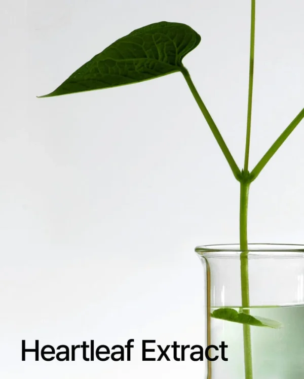 anua-heartleaf-77percent-soothing-toner-pic-6
