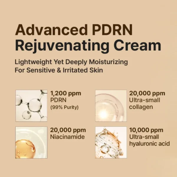 dr-reju-all-advanced-pdrn-rejuvenating-cream-20ml-pic-5