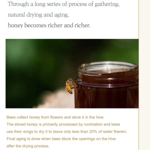 im-from-honey-serum-30ml-pic-4