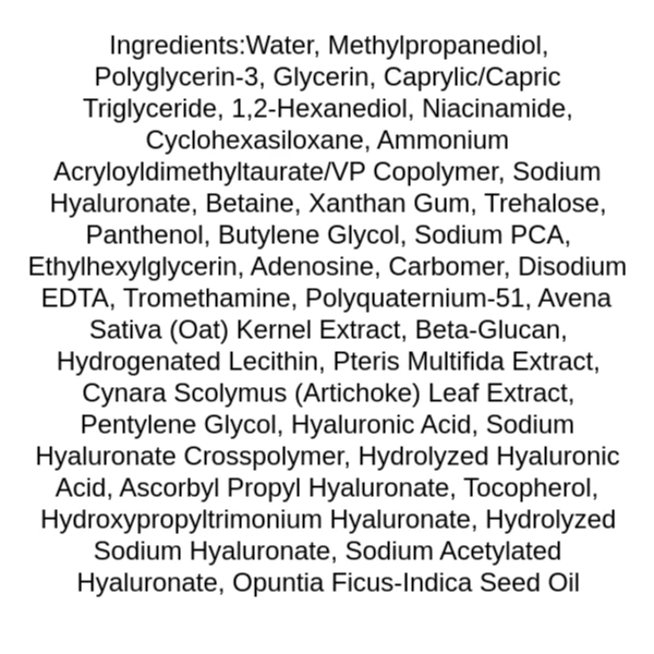 isntree-hyaluronic-acid-water-essence-ingredients