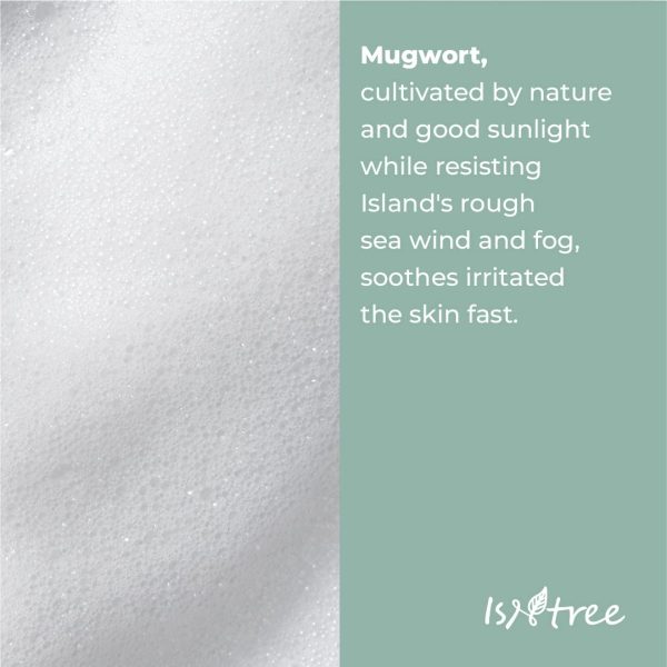 isntree-mugwort-calming-powder-wash-15g-pic-5
