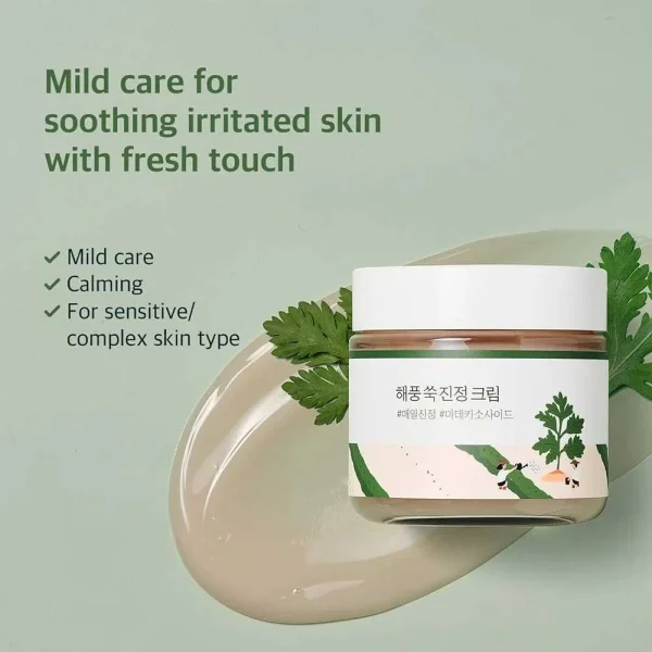 round-lab-mugwort-calming-cream-80ml-pic-1
