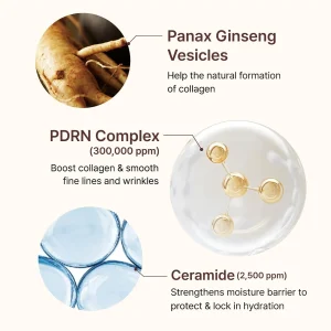 centellian24-pdrn-firming-boosting-ampoule-30ml-pic-4