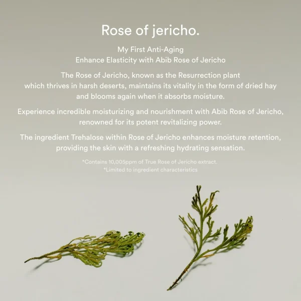 abib-jericho-rose-bifida-serum-firming-drop-50ml-pic-5